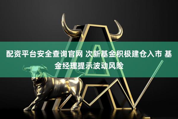 配资平台安全查询官网 次新基金积极建仓入市 基金经理提示波动风险