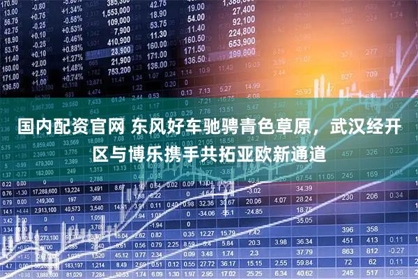 国内配资官网 东风好车驰骋青色草原，武汉经开区与博乐携手共拓亚欧新通道