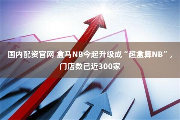 国内配资官网 盒马NB今起升级成“超盒算NB”，门店数已近300家